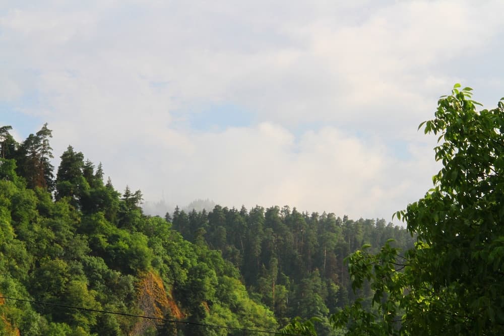 Hotel Old Borjomi
