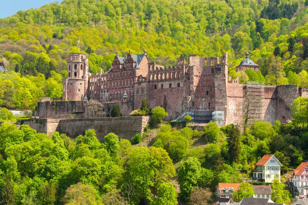 Heidelberg Tour