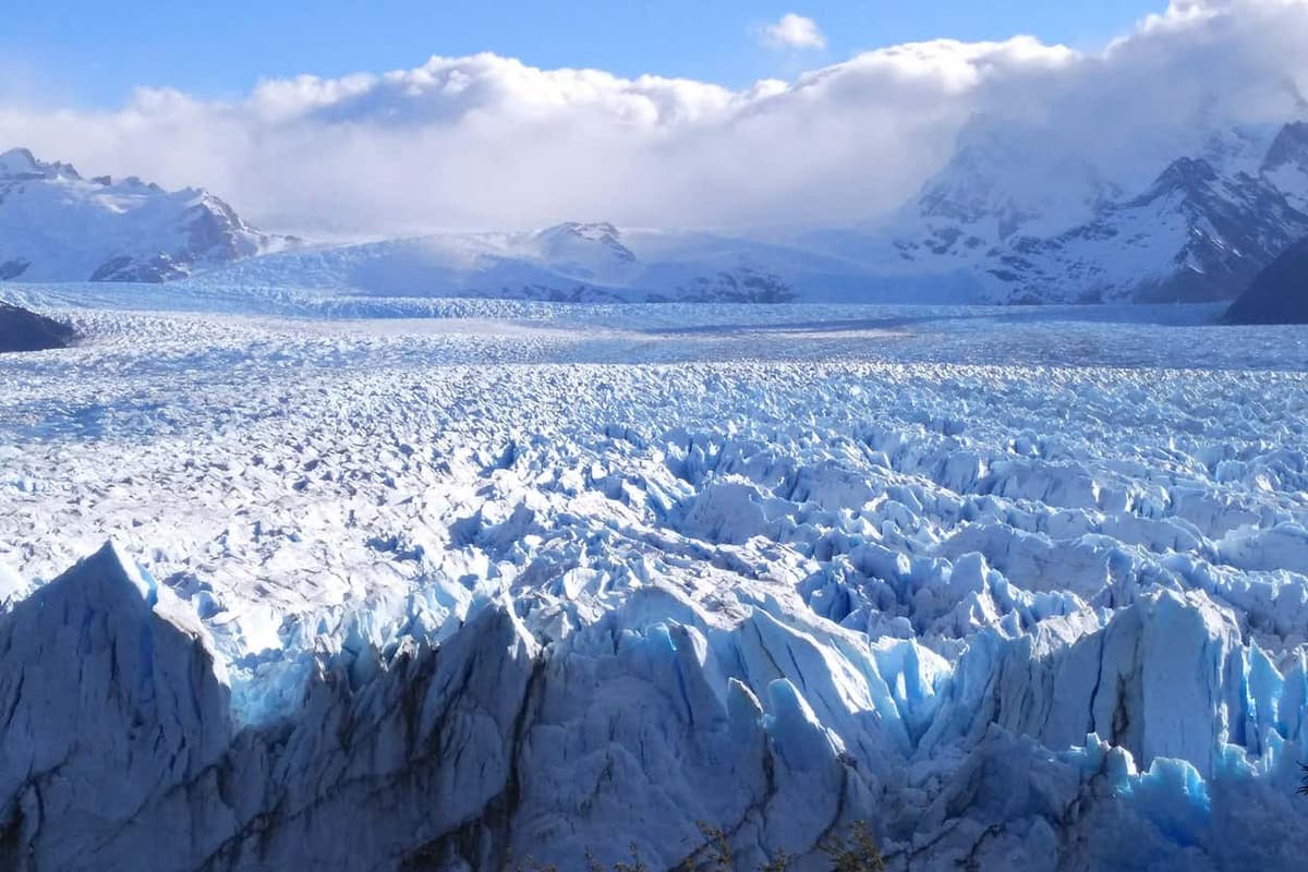 Excursión al glaciar Perito Moreno