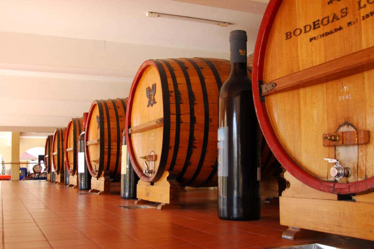 Tour de viñedos y bodegas