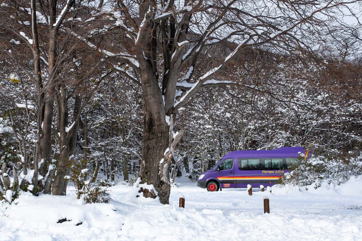 Transporte a Cerro Castor