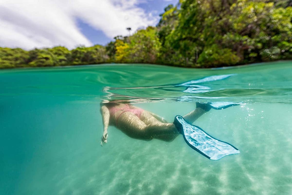 Kayak and Snorkel Dolphin-Watching Tour