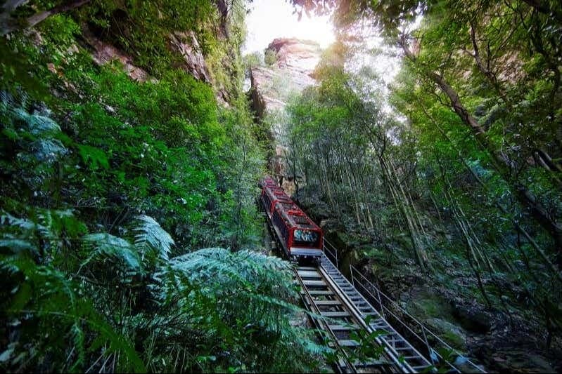 Blue Mountains, Scenic World + Sydney Zoo