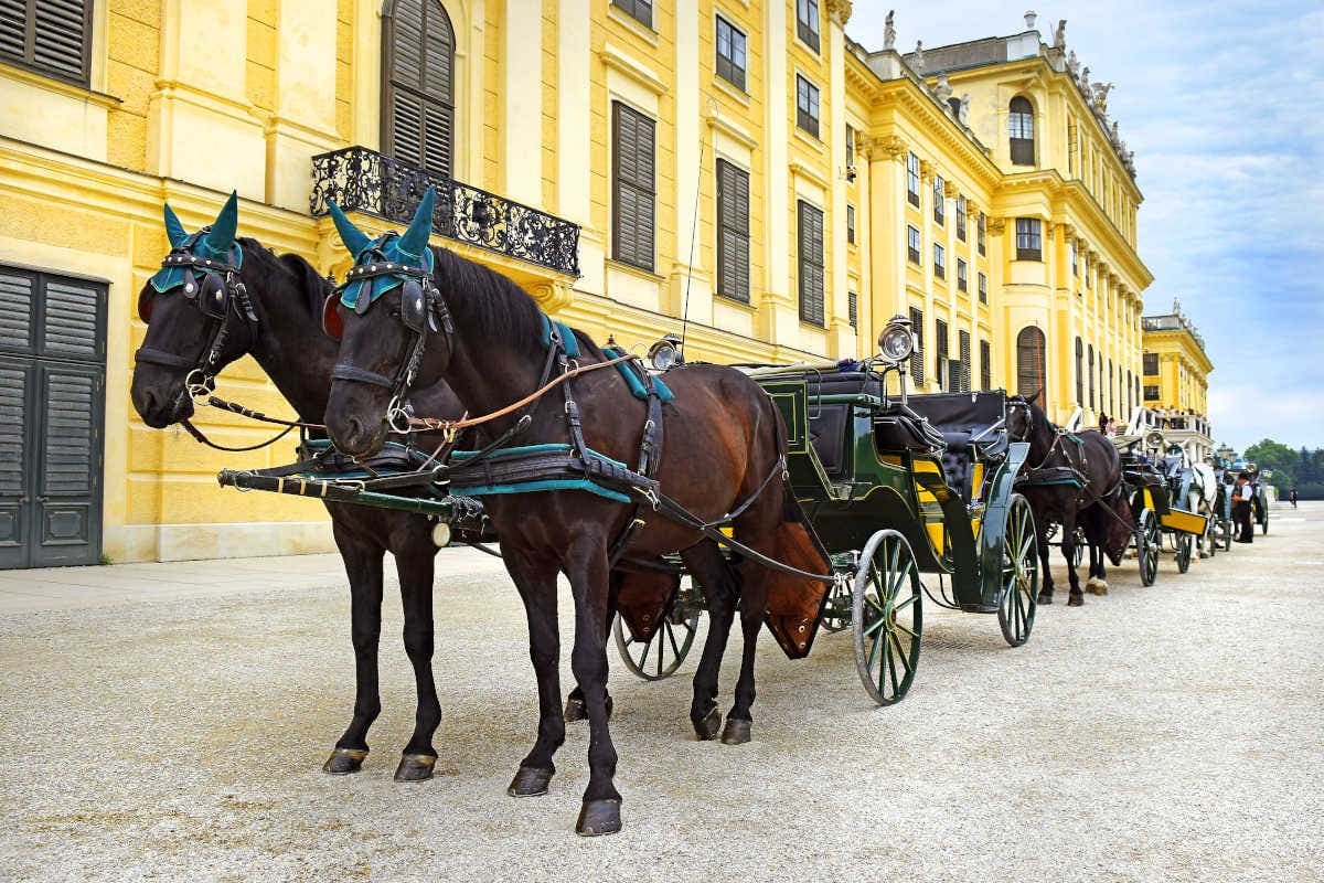 Schönbrunn Palace Tour