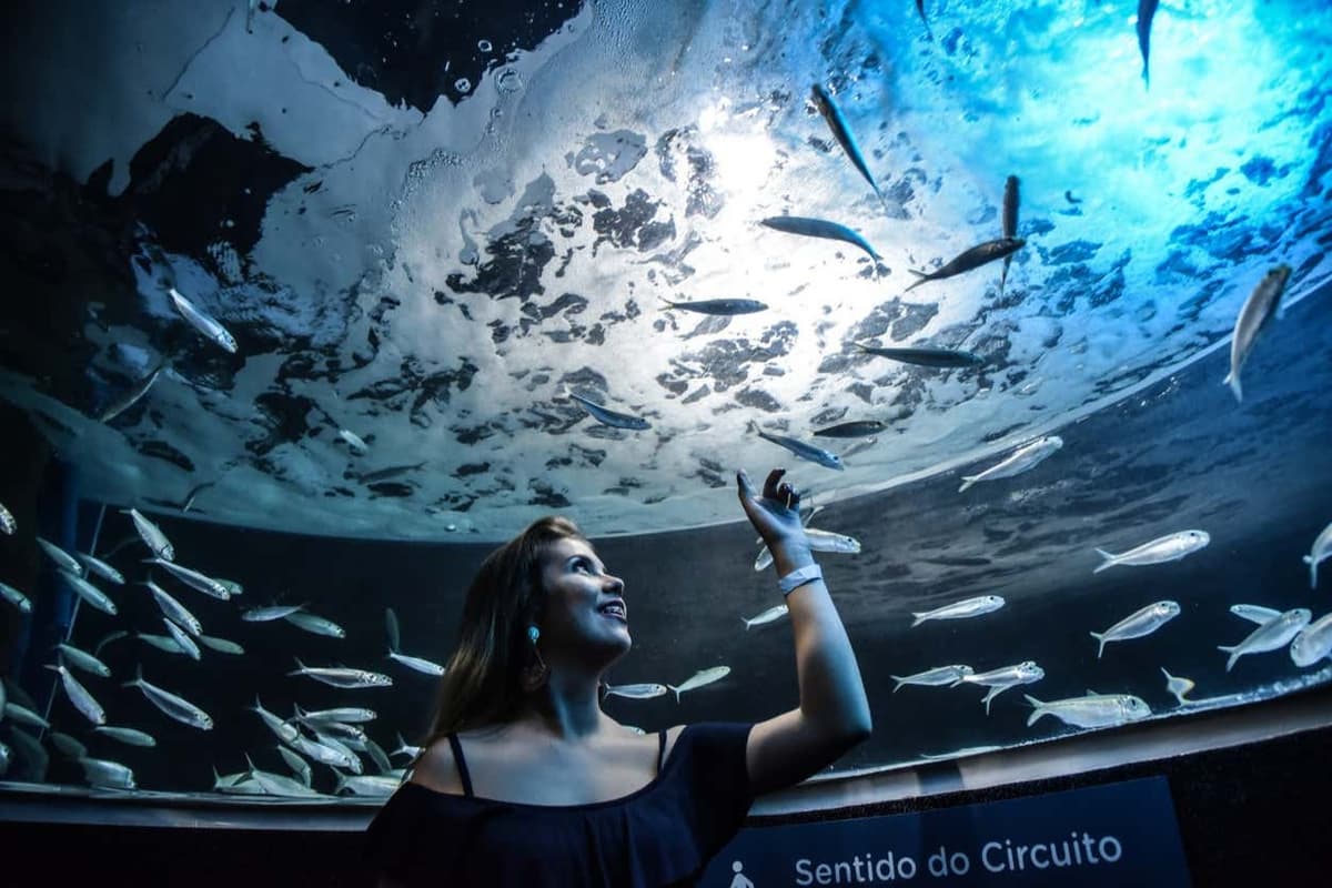 Tour por el Boulevard Olímpico + Entrada a AquaRio