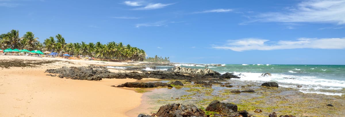 Praia do Forte & Guarajuba Beach Tour