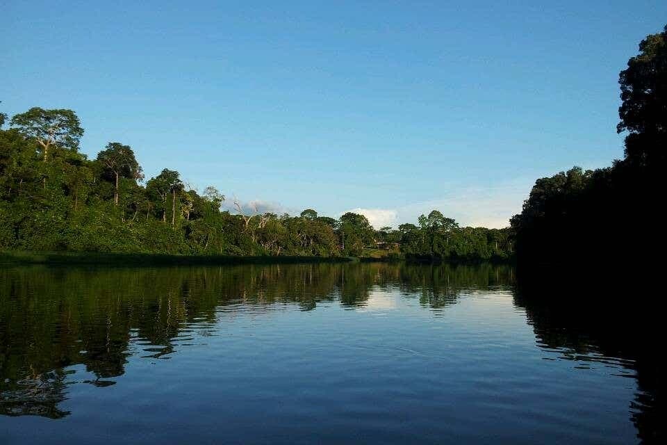 Cameroon Nature Reserve Tour