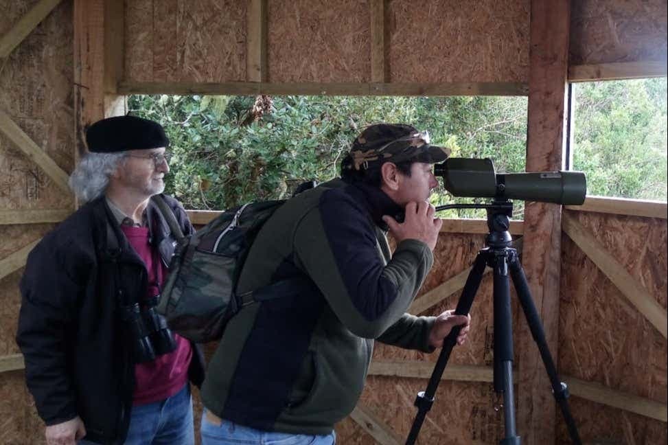 Avistamiento de aves en la Carretera Austral
