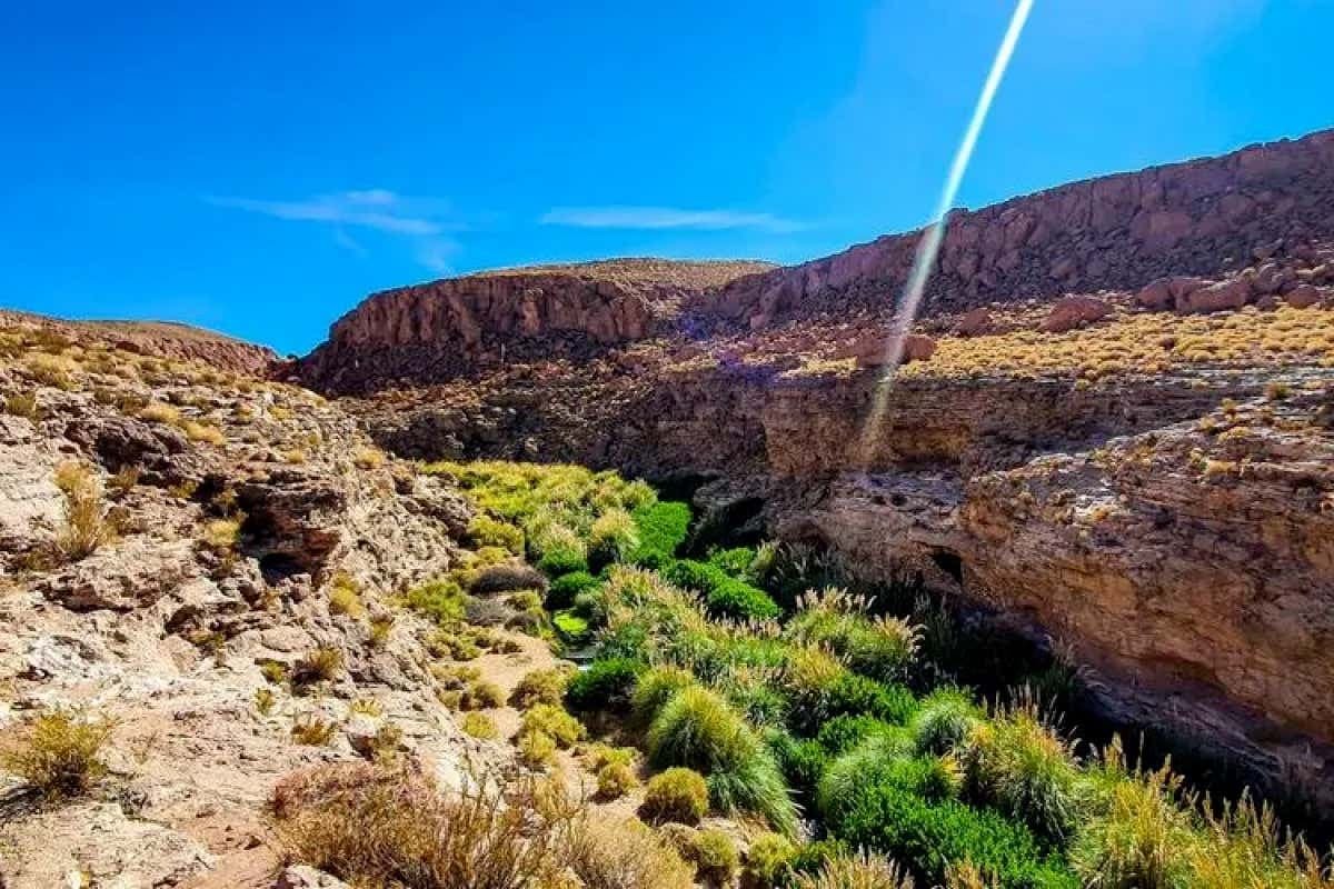 Trekking por Purilibre