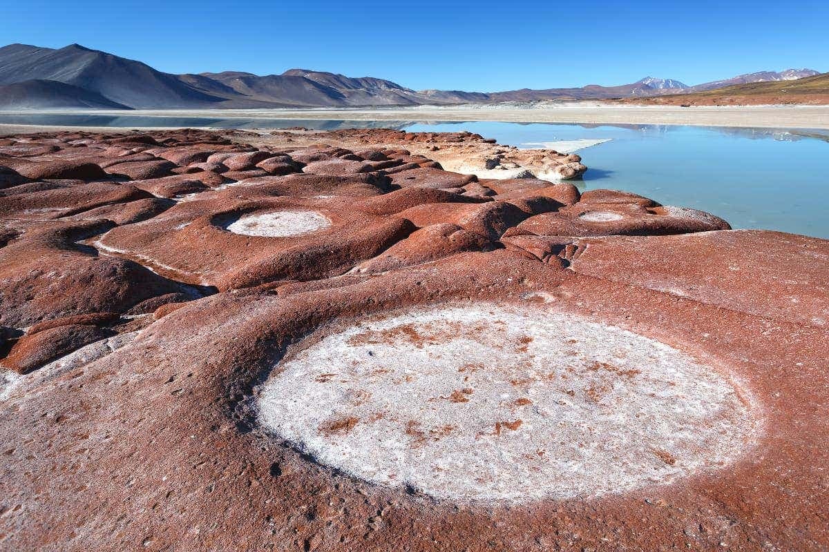 Piedras Rojas, Salar de Atacama y lagos del altiplano