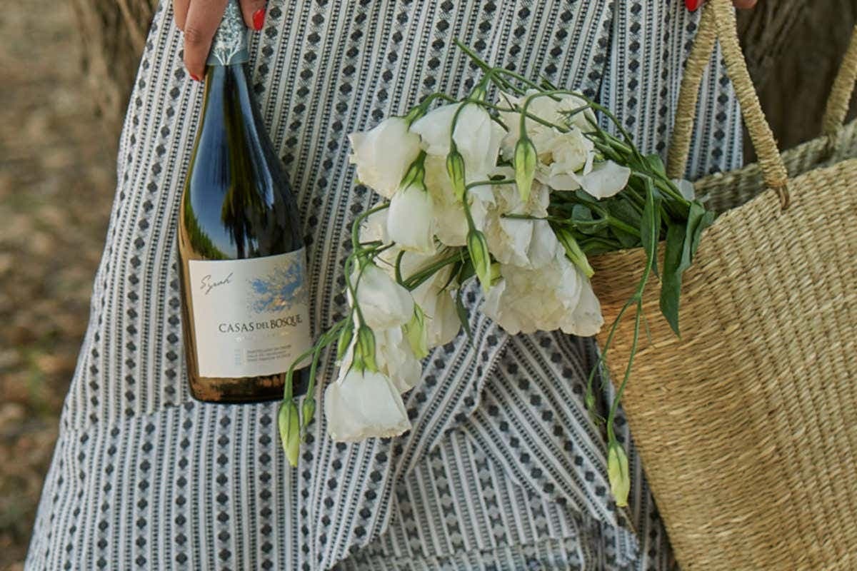 Visita a la viña Casas del Bosque