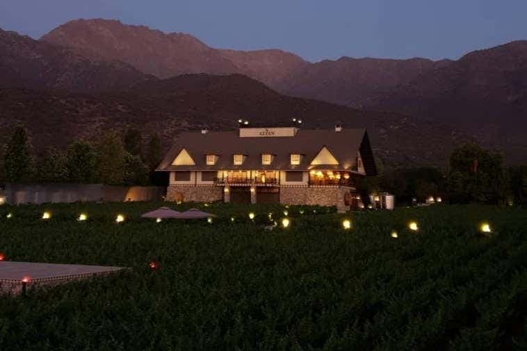 Excursión al viñedo Alyan al atardecer