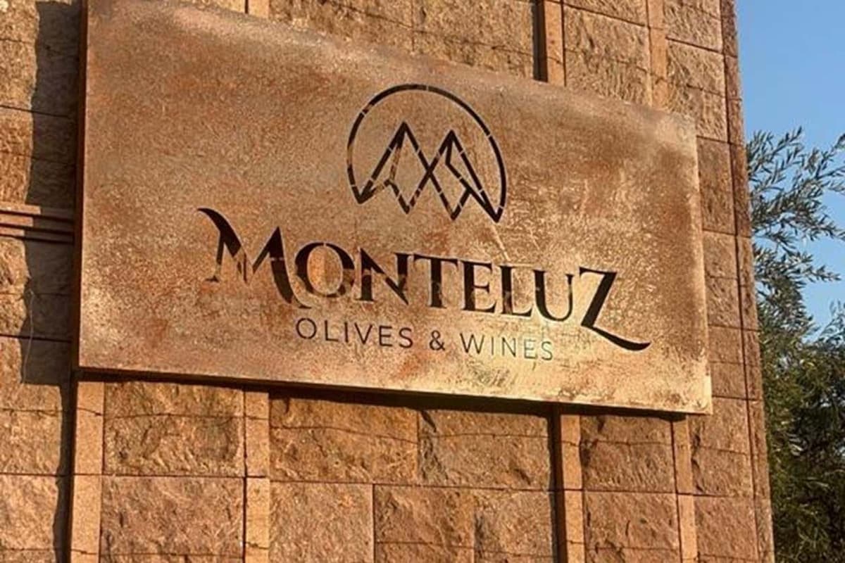 Excursão à vinícola Monteluz
