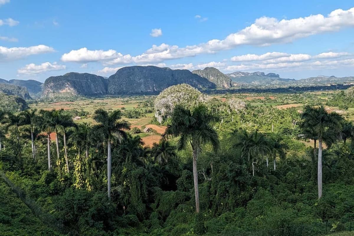 Excursión al Valle de Viñales y Las Terrazas