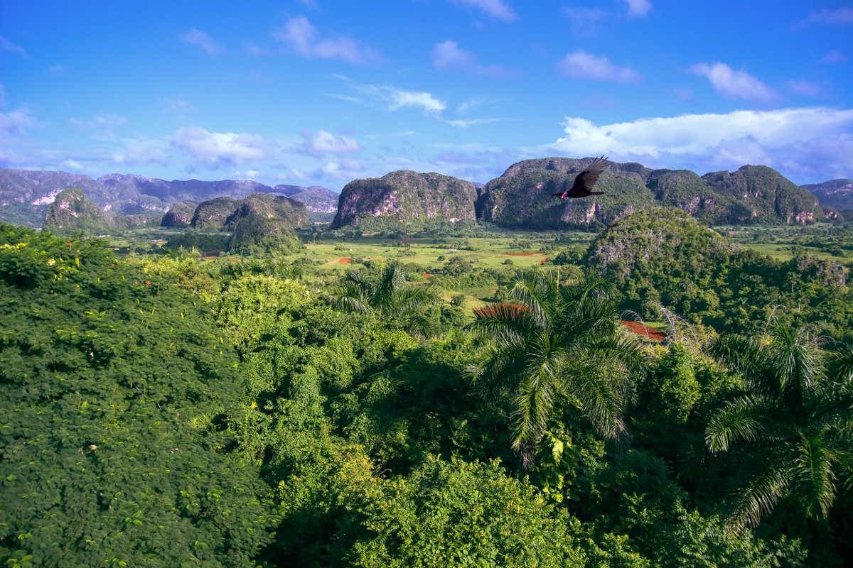 Viñales Horse Riding Tour