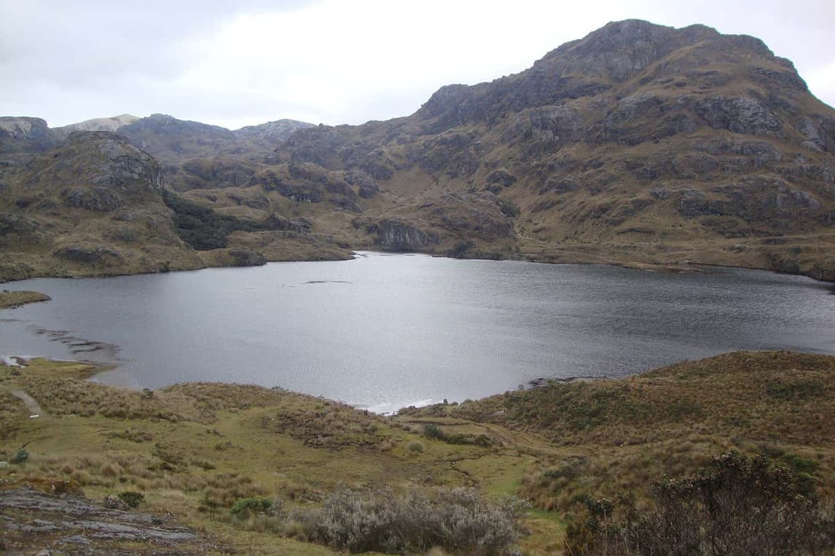 Cajas National Park Tour