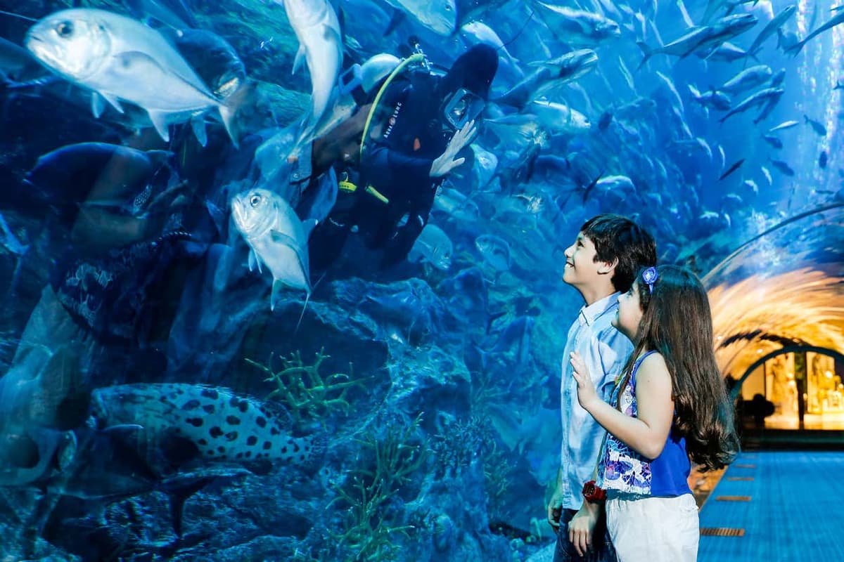 Biglietti per Dubai Aquarium