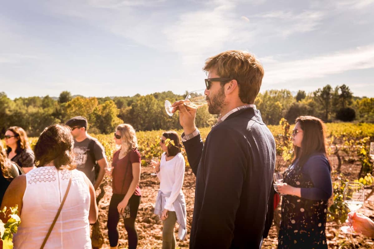 Montserrat Wine Tour