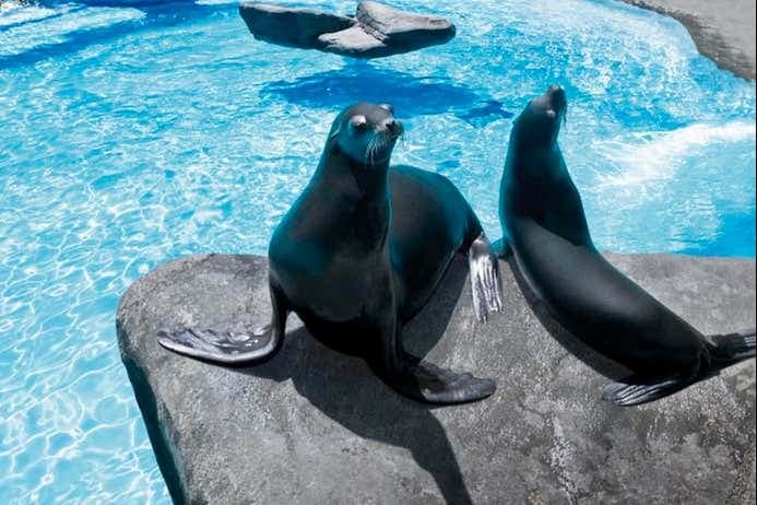 Barcelona Zoo Tickets