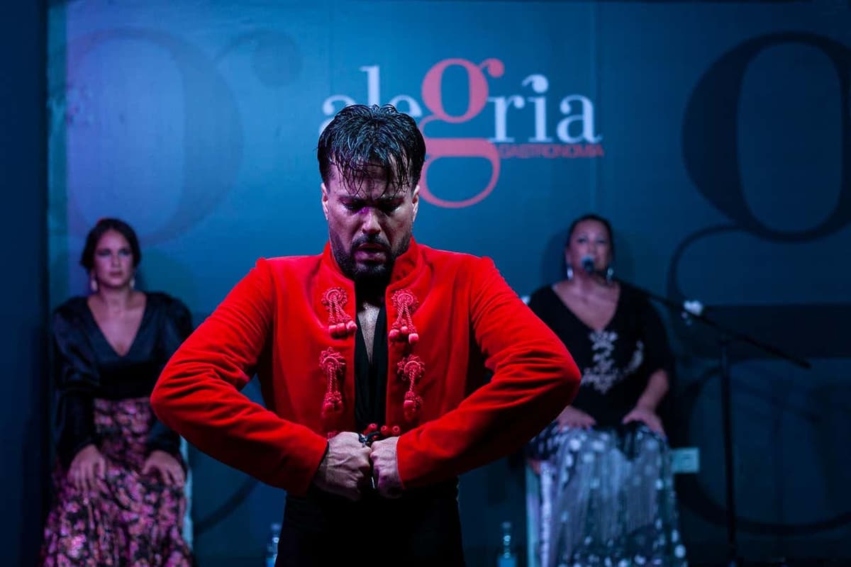 Spettacolo di flamenco all'Alegría