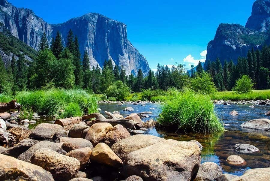 Yosemite National Park Day Trip