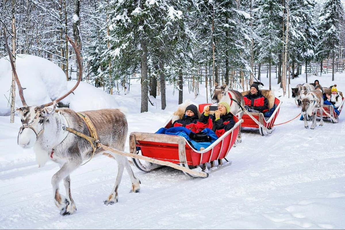 Reindeer Sleigh Ride