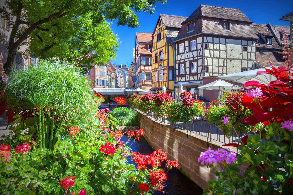 Alsace Day Trip from Strasbourg