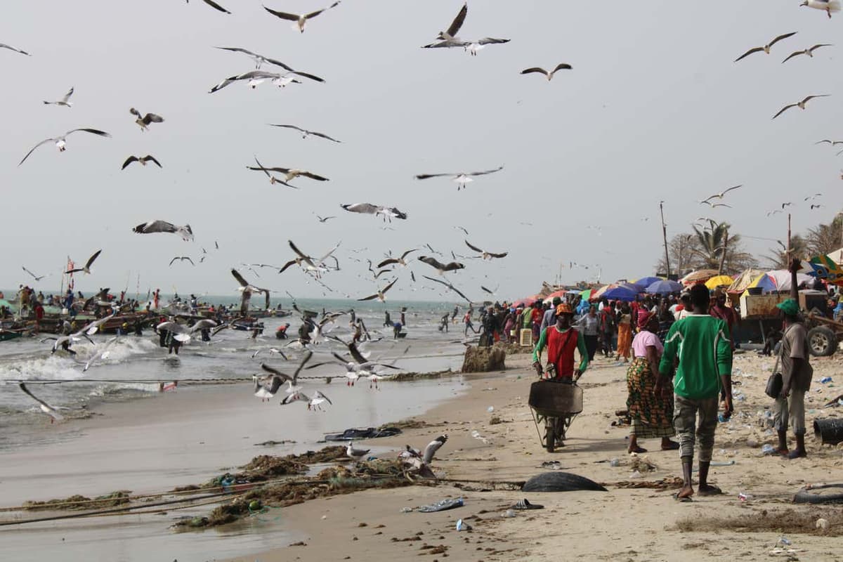 Excursión a Serrekunda, Brikama y Tanji
