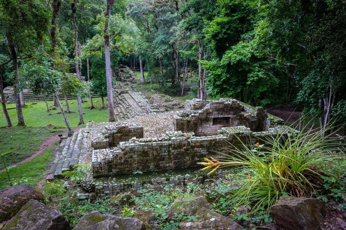 Private Copán Archeological Museum and Bird Park Trip