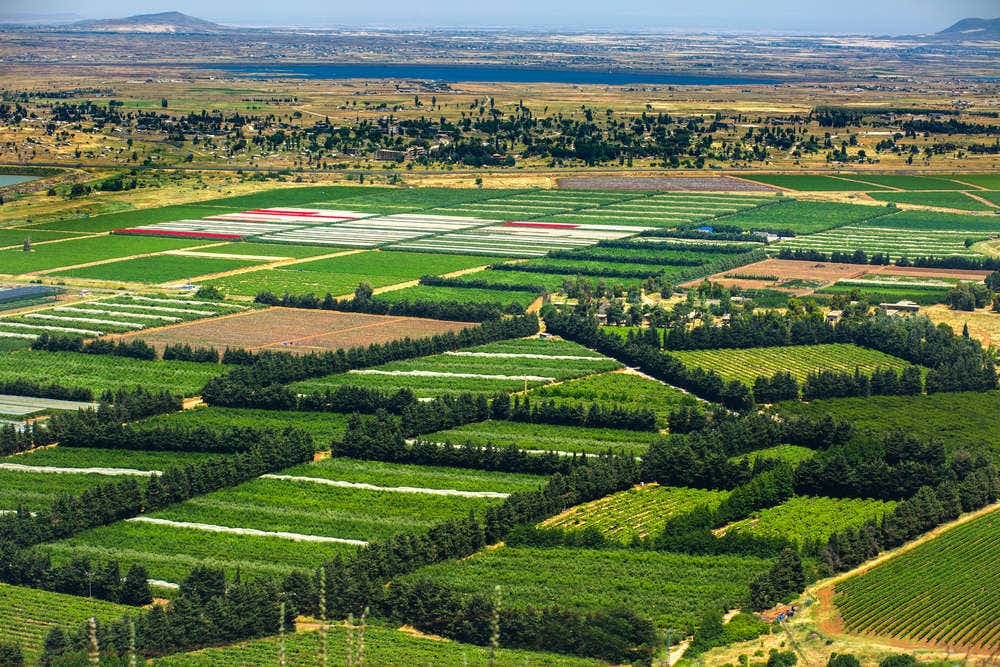 Nazareth, Tiberias, and Sea of Galilee Day Tour