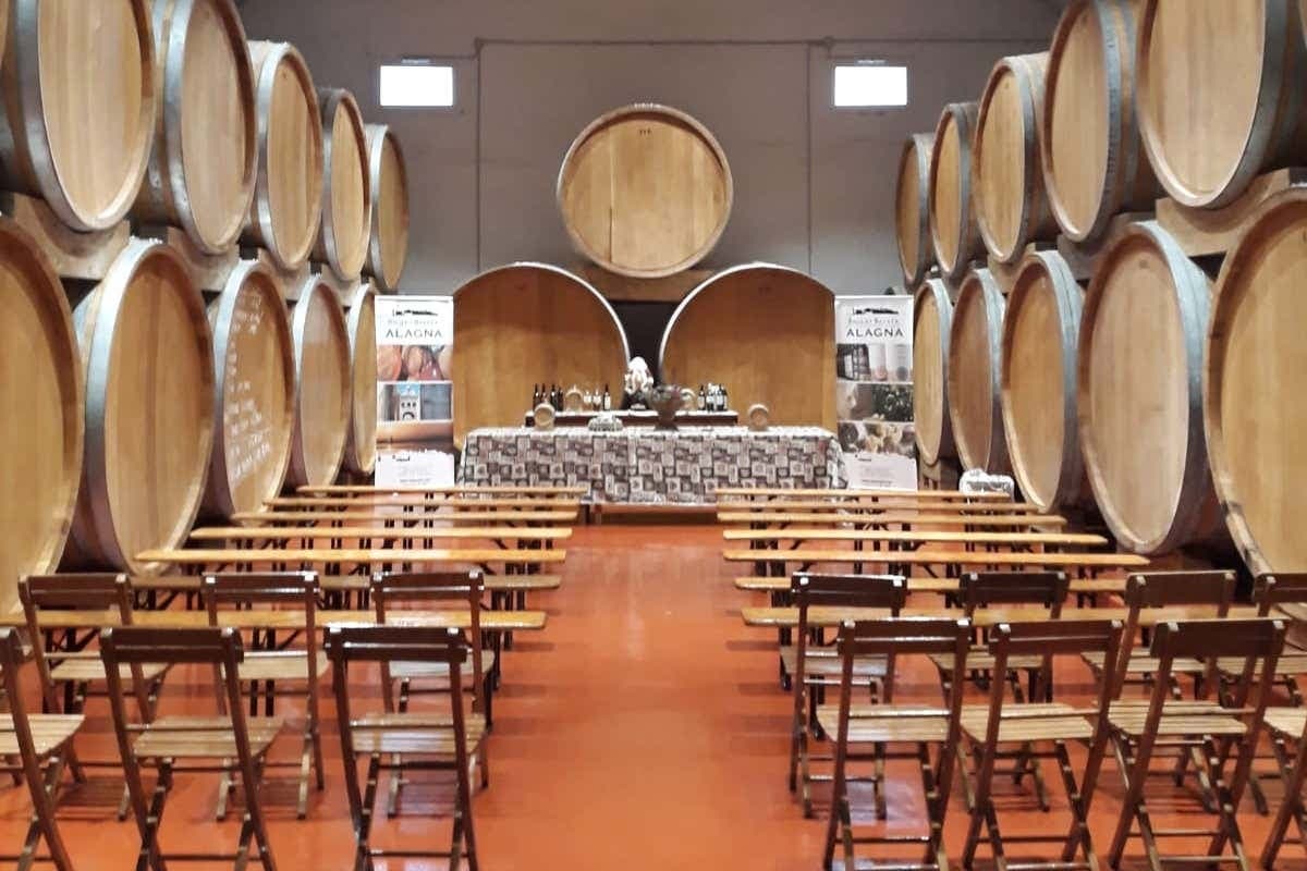 Degustazione di vino a Marsala