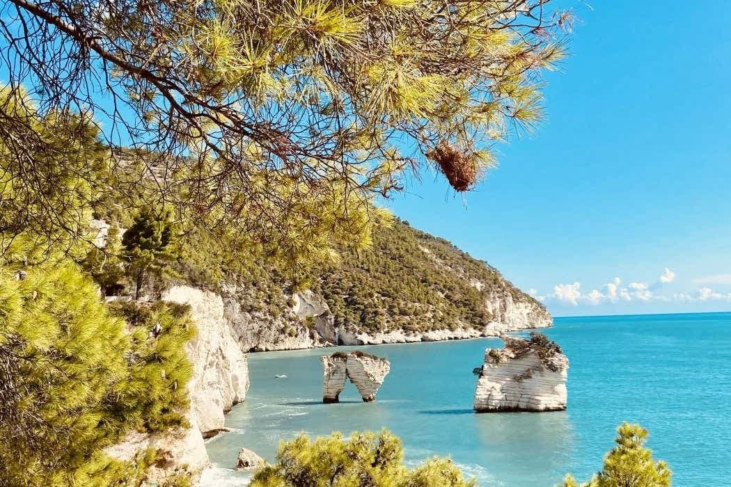 Giro in barca lungo la costa del Gargano