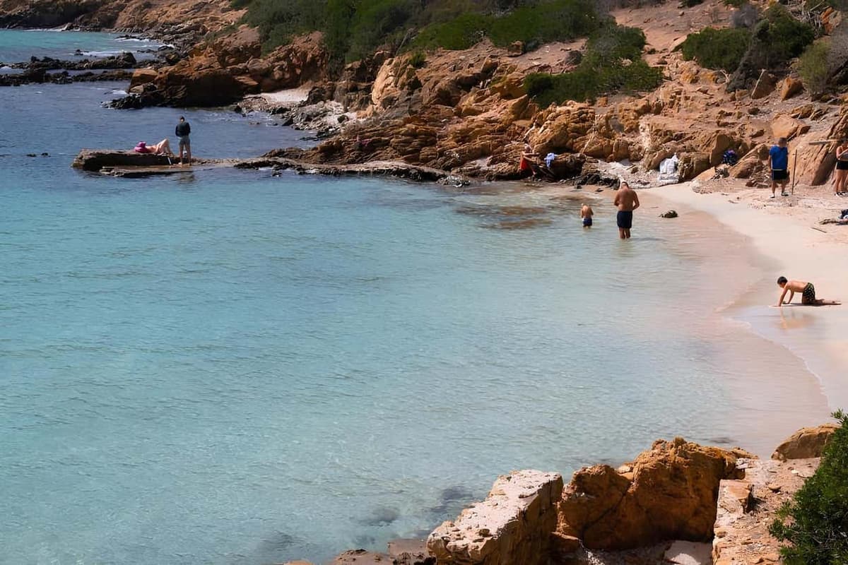 Escursione al Parco nazionale dell'Asinara