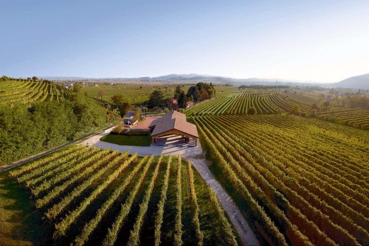 Visita alla cantina Fasol Menin + Degustazione