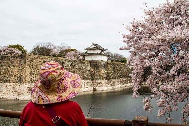 Osaka Castle Walking Tour