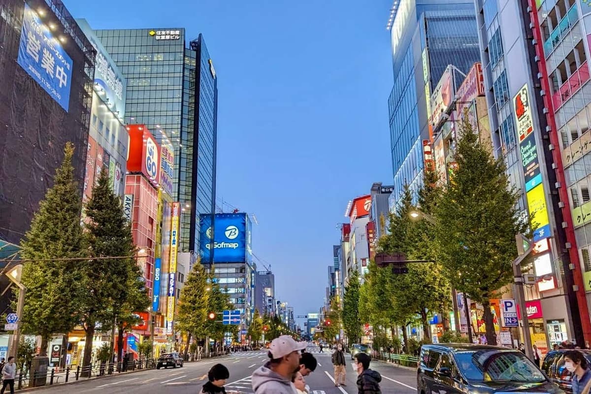 Private Tour of Tokyo