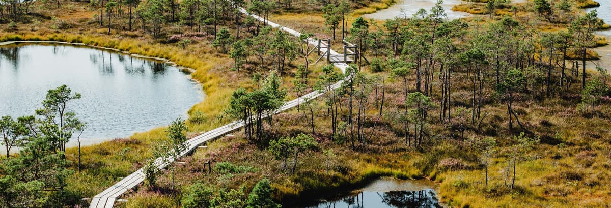 Escursione al Parco Nazionale di Ķemeri e Jürmala