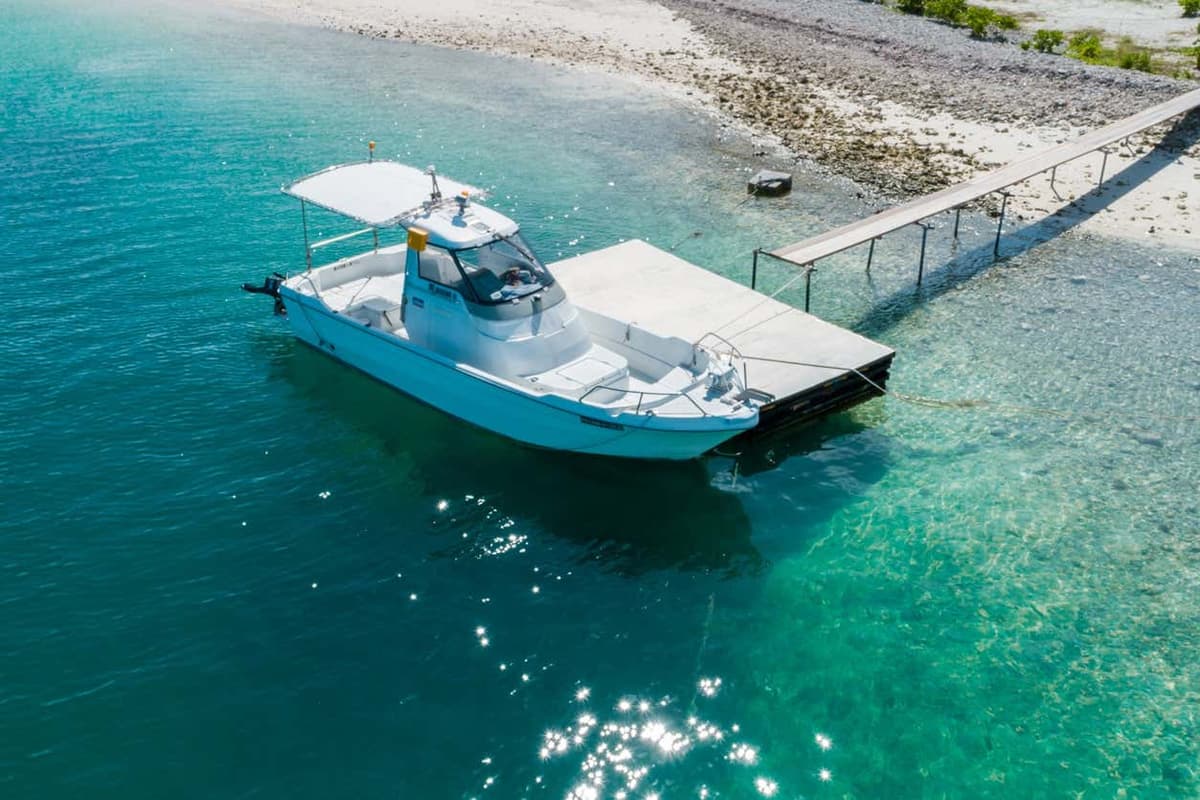 Avistamento de golfinhos em Addu