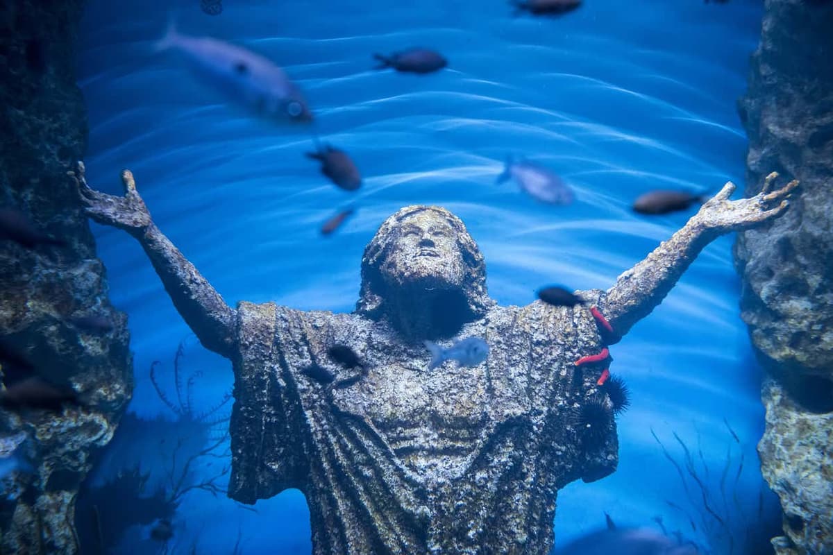 Malta National Aquarium Ticket