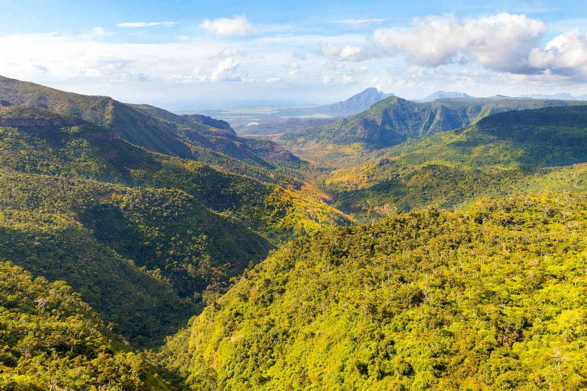 Black River Gorges Hiking Tour