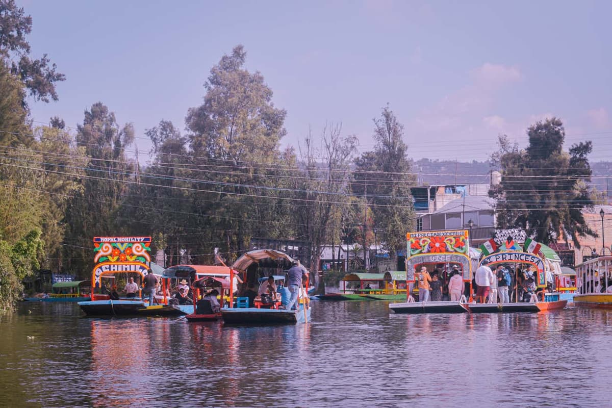 Tour por Coyoacán y Xochimilco + Paseo en trajinera