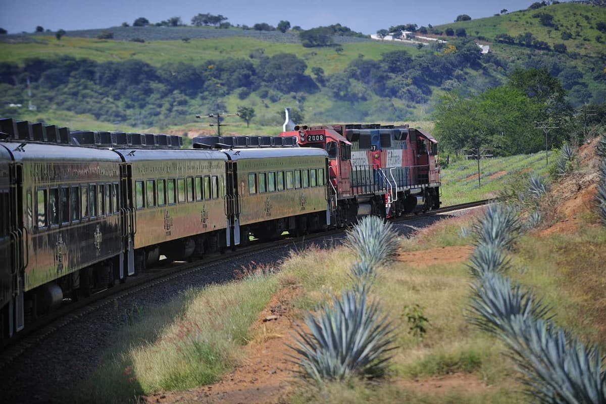 Excursión a Tequila con espectáculo mariachi + Tren José Cuervo Express