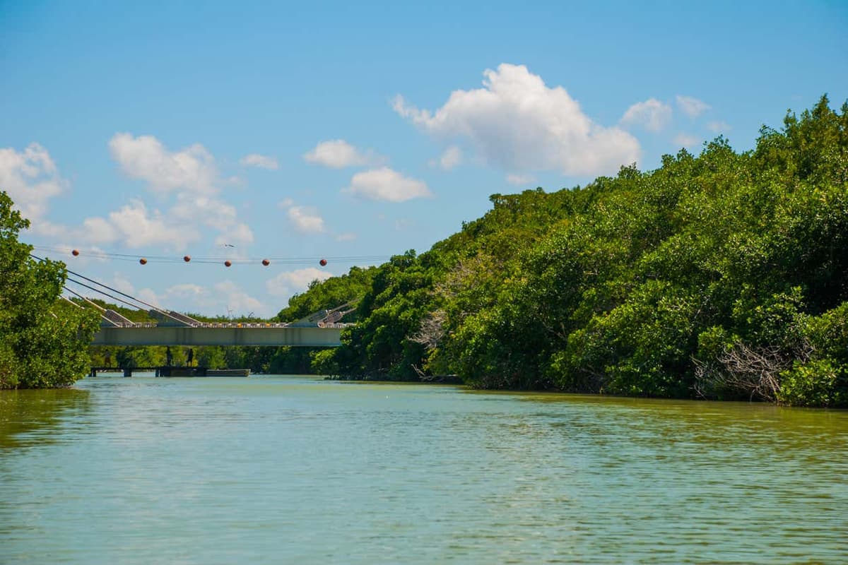 Excursión a Las Coloradas y Río Lagartos