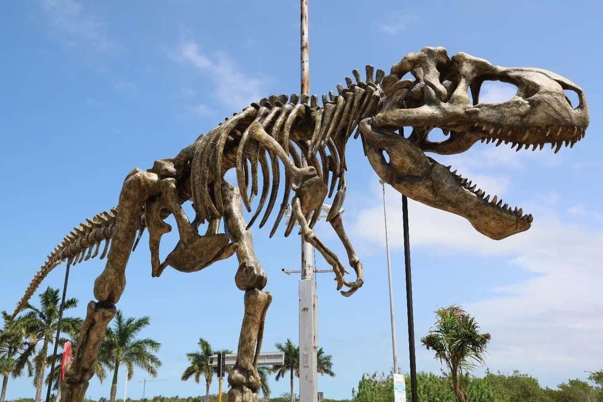 Excursión al Museo del Meteorito y Sendero Jurásico