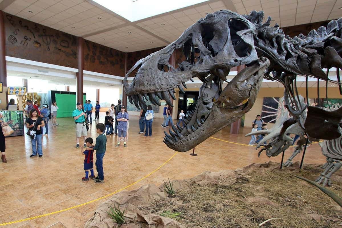 Excursión al Museo del Desierto