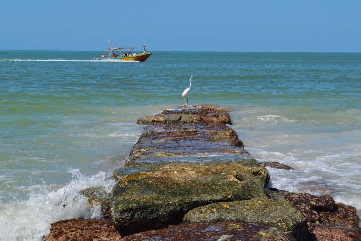 Excursión a la isla Holbox