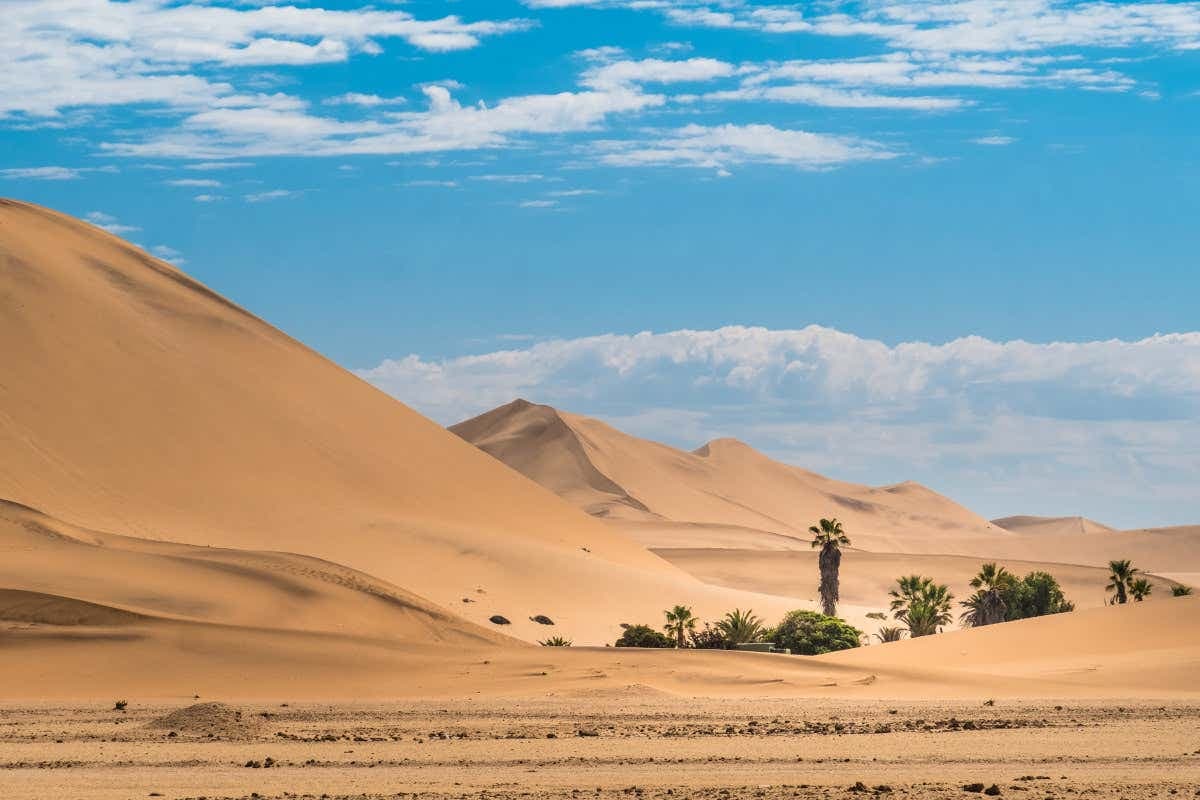 Sandboarding in the Namib