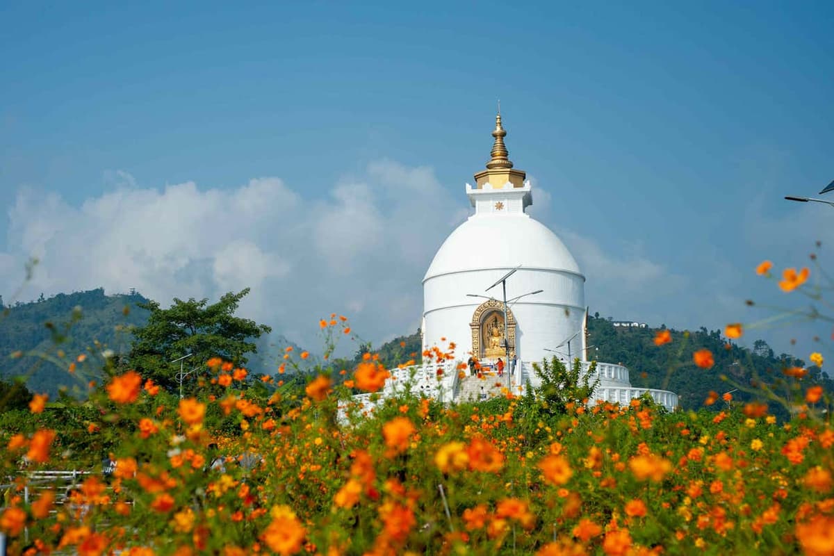 Pokhara Guided Tour