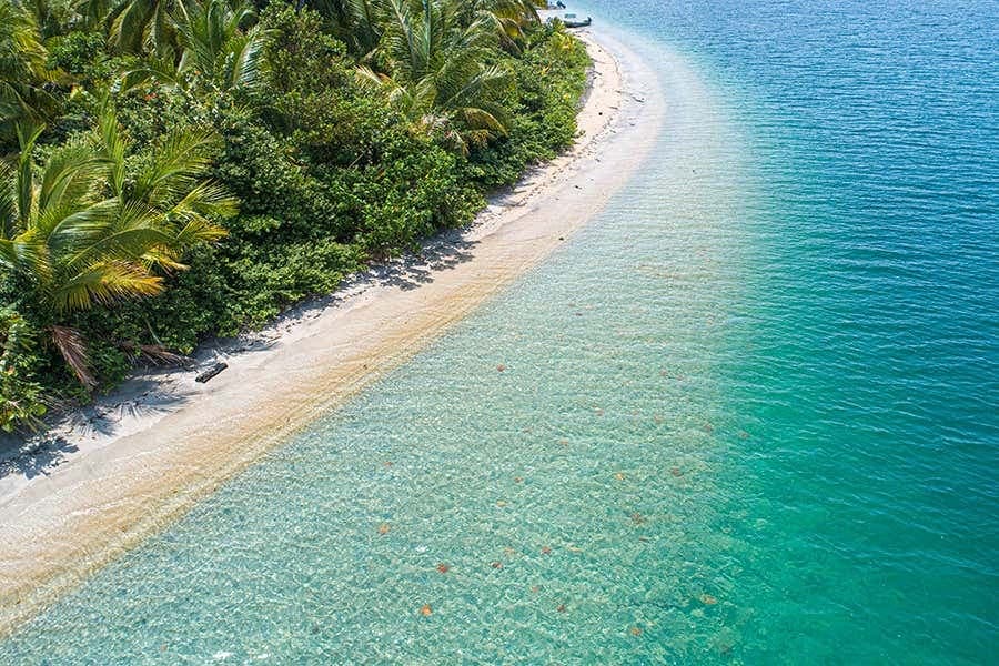 Bocas del Toro Private Excursions