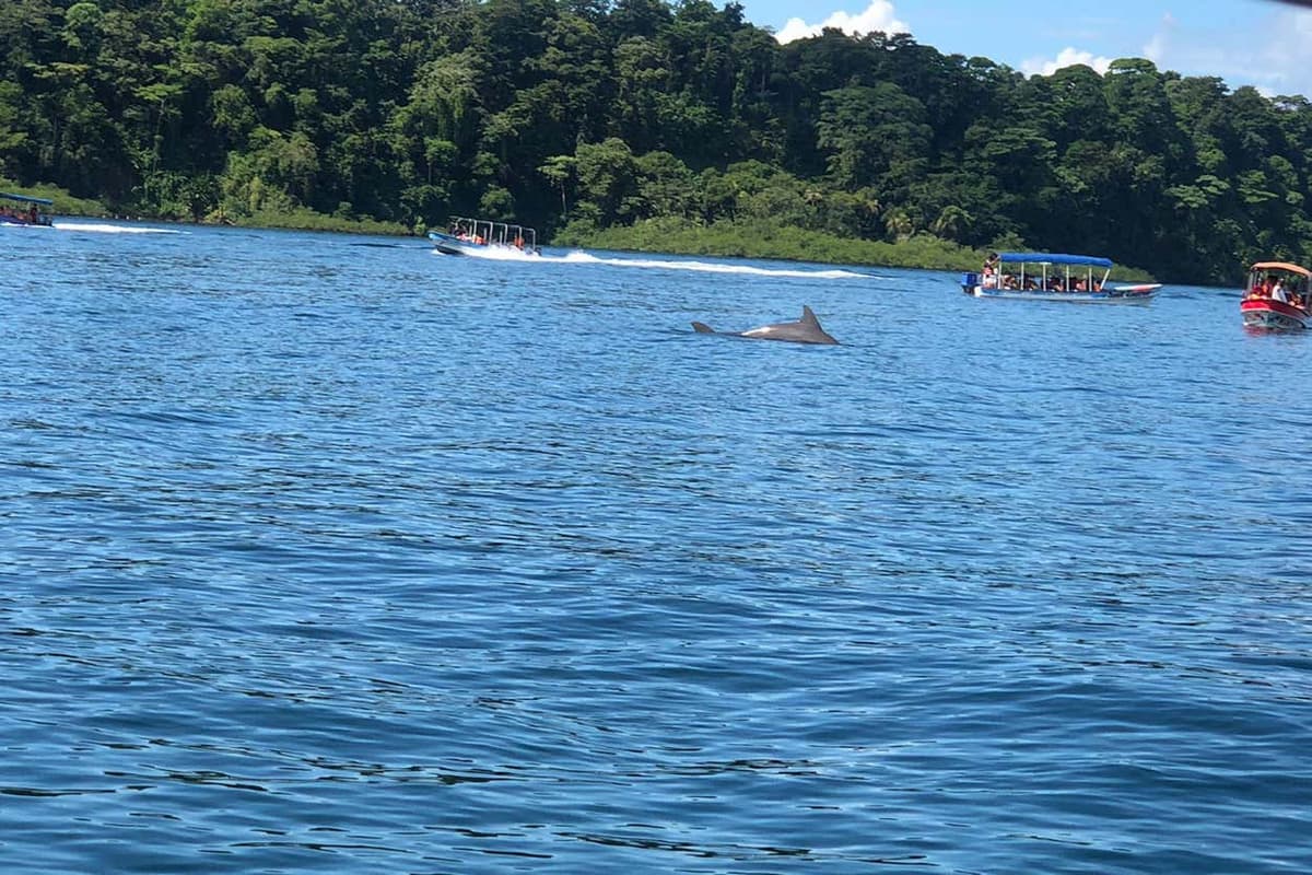 Zapatilla Island & Coral Cay Boat Tour